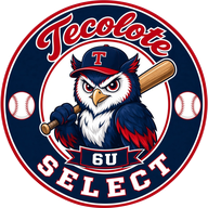 Tecolote owl badge